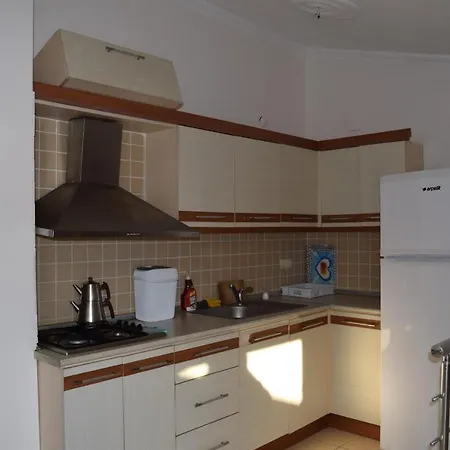 1+1 Terasli Duplex Apartment Didim